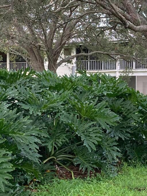 All Season Paradise In Cortez Bradenton Exterior foto